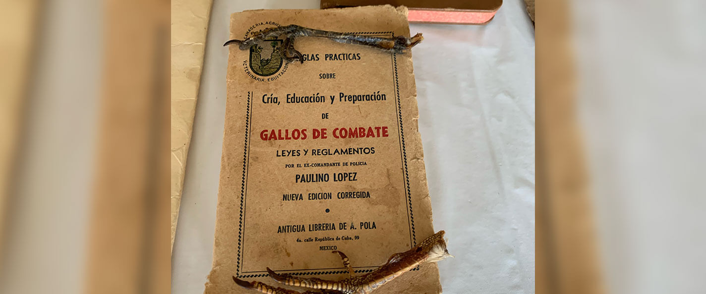A picture of a cock-fighting rulebook, an item from the Wisconsin Latinx History Collective.