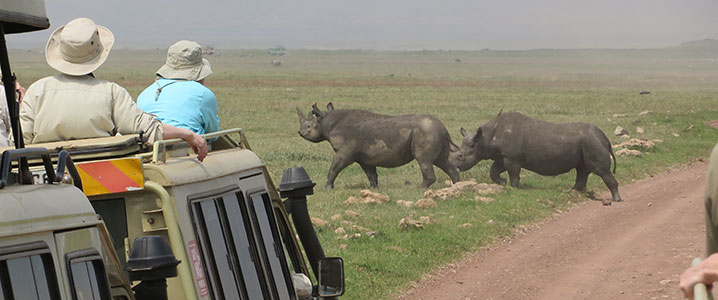 tanzania_scrapbook7
