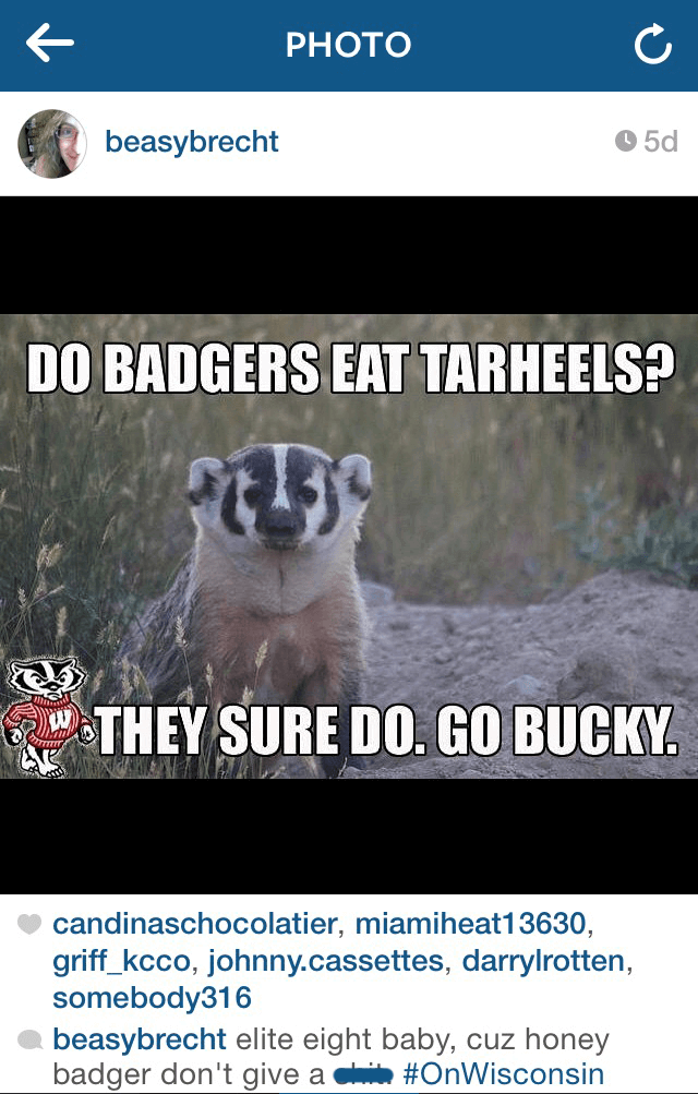 Badger looking ahead 