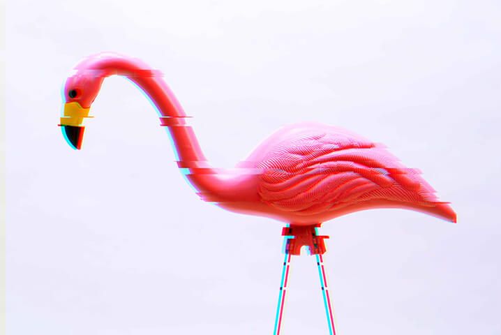 Pink plastic flamingo