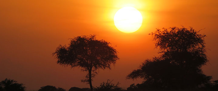 tanzania_scrapbook12