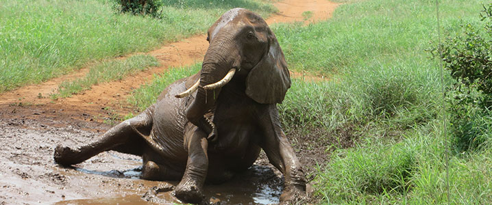 tanzania_scrapbook5